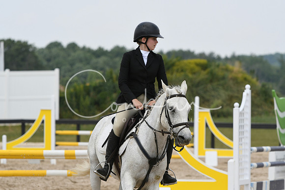 HSM_5338