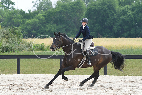 HSM_4501