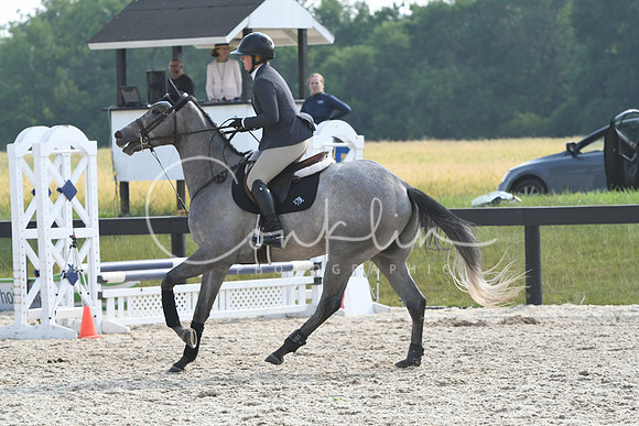 HSM_4131