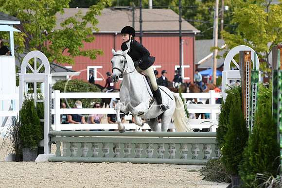 HSM_6137