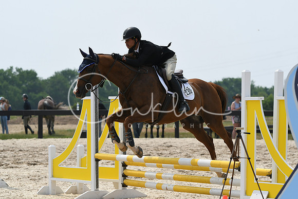 HSM_4618