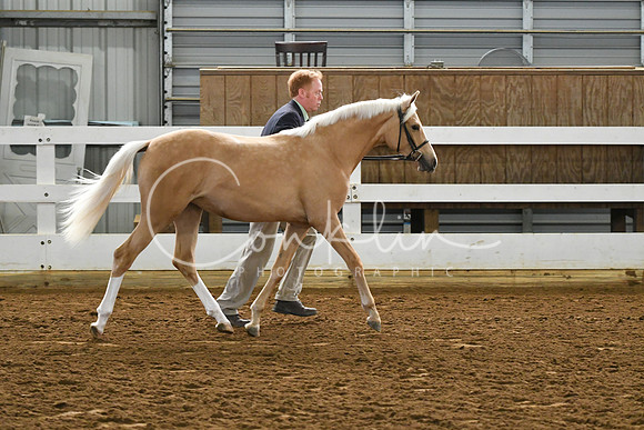 HSM_3795