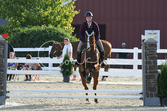 HSM_1183