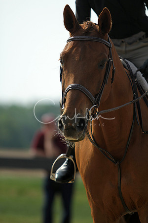 IMG_0298-
