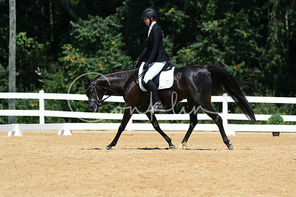 HSM_1293
