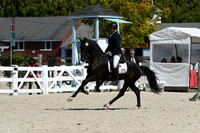 HSM_4809