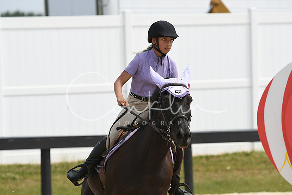 HSM_4639