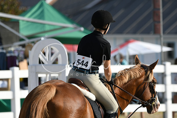 HSM_1382