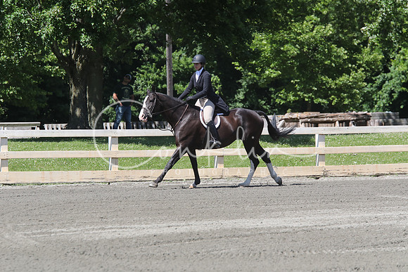5H2A1318
