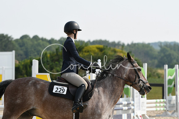 HSM_4228