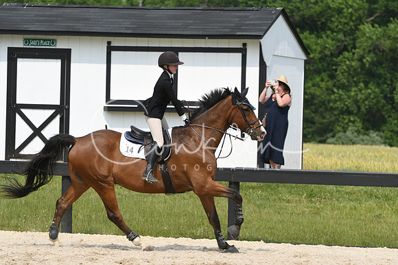 HSM_5582