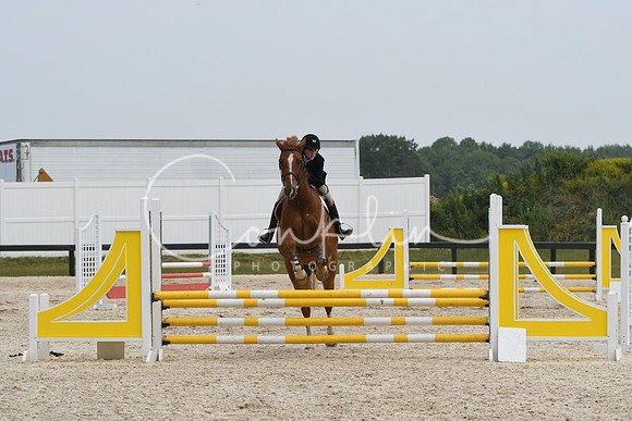 HSM_4733
