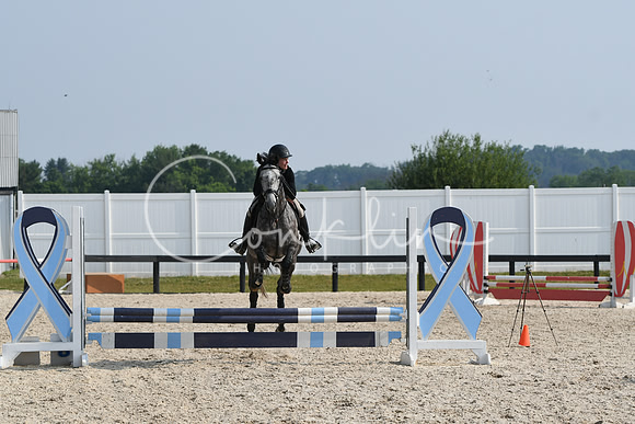 HSM_4247