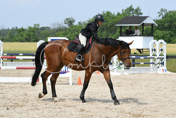 HSM_5536
