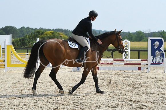 HSM_4437