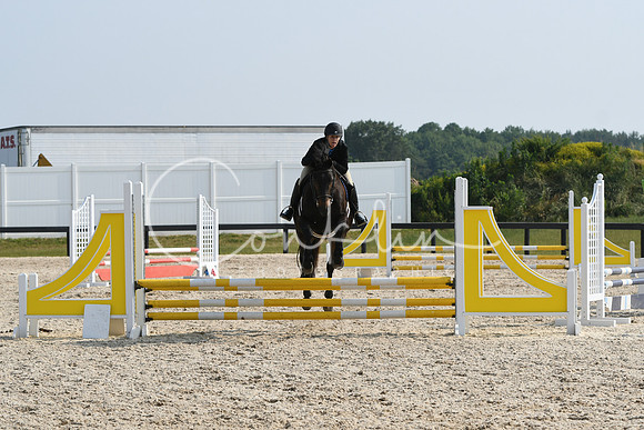 HSM_4212
