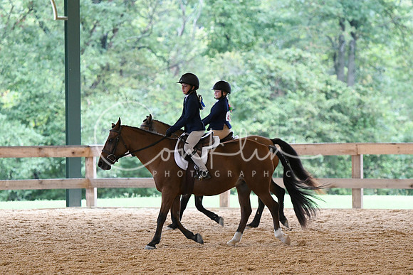 HSM_6307