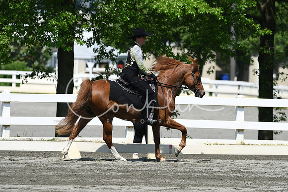 HSM_2825