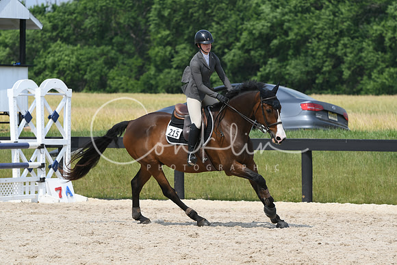 HSM_5489