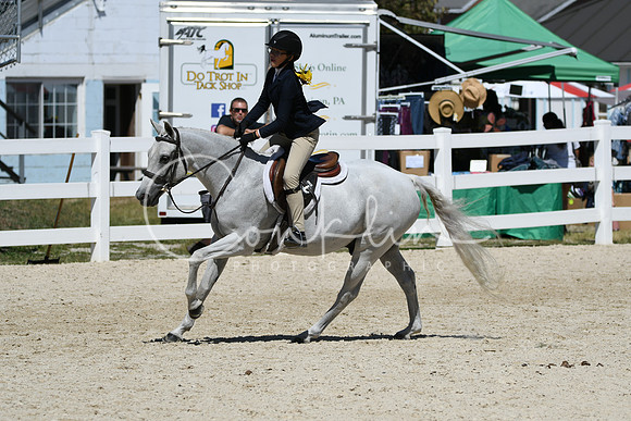 HSM_3211