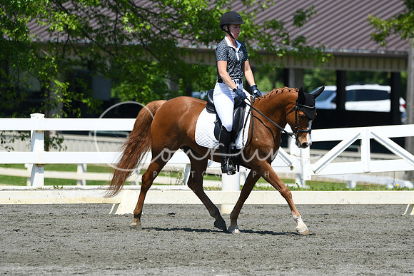 HSM_1387