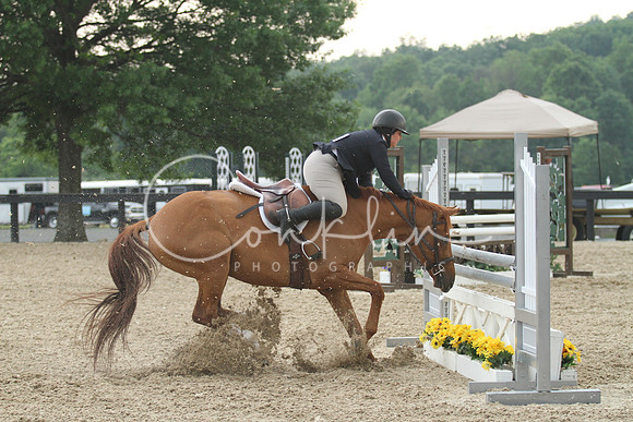 IMG_3934