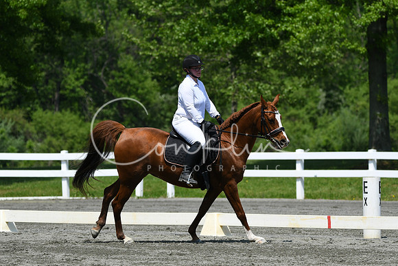 HSM_2203