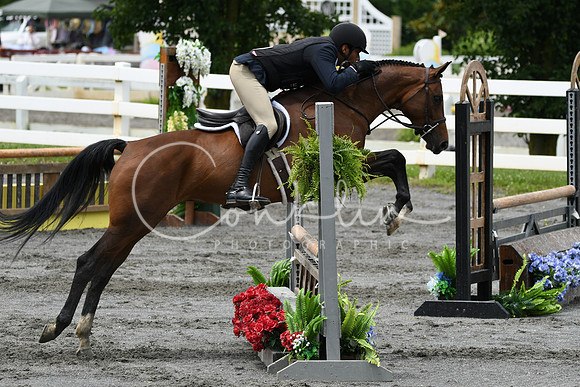 HSM_4197