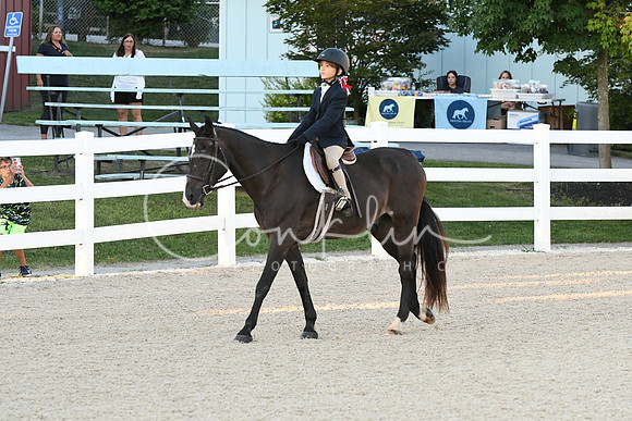 HSM_1558