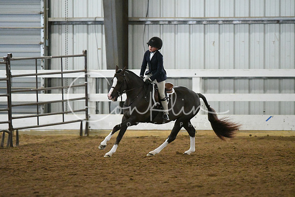 HSM_5131