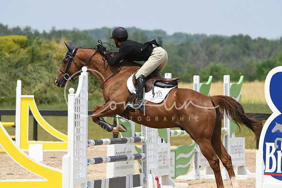 HSM_5313