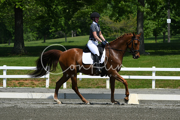 HSM_2163
