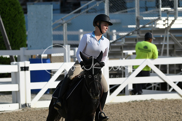HSM_1419