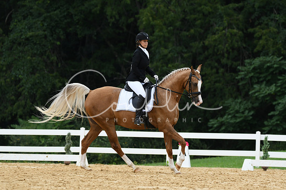 HSM_0246