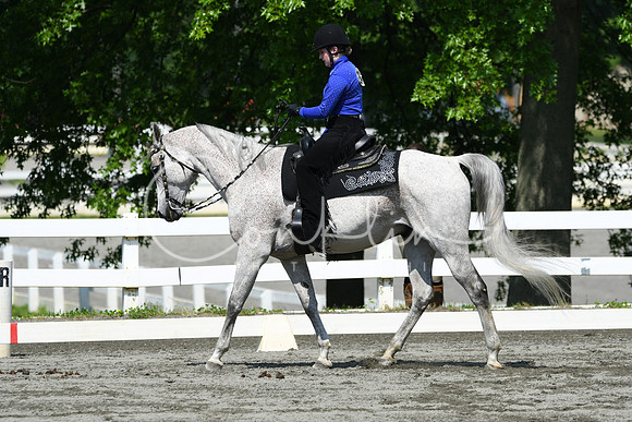 HSM_2715