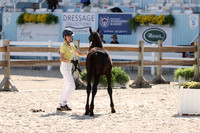 RJC32004