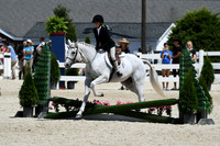 HSM_3075