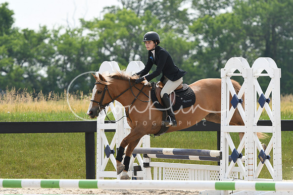 HSM_4538