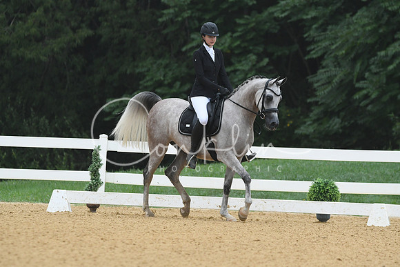 HSM_0636
