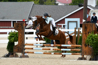 HSM_2648