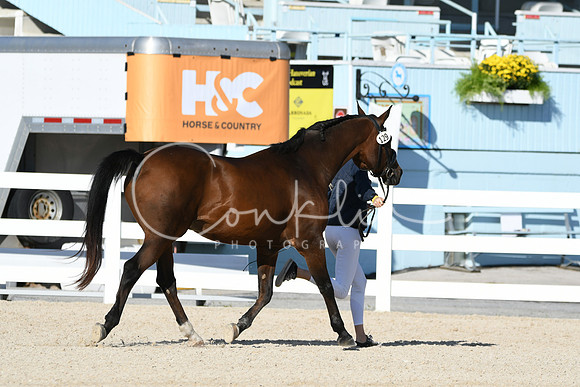 HSM_4356