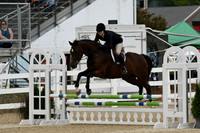 HSM_2896
