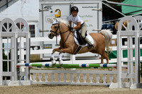 HSM_2461