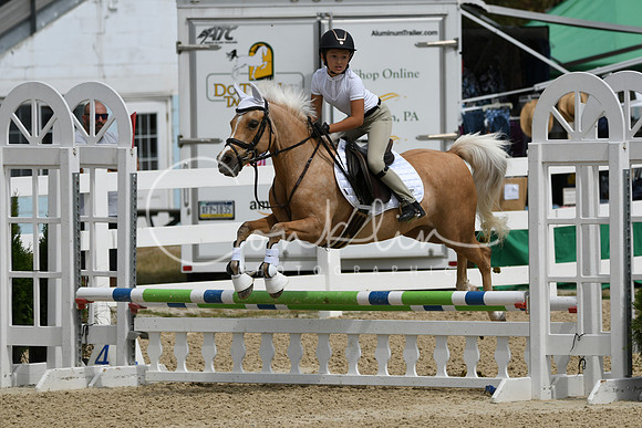 HSM_2461