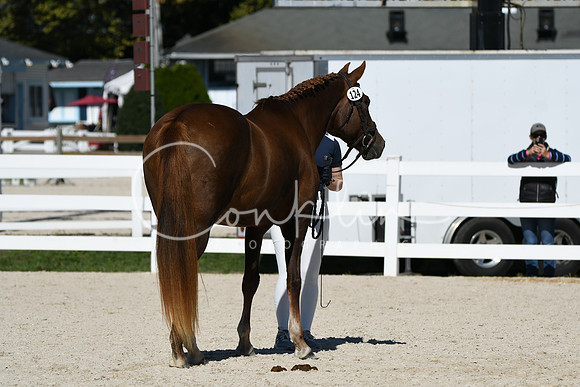 HSM_4620