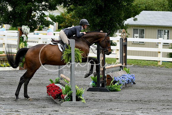 HSM_3851-1