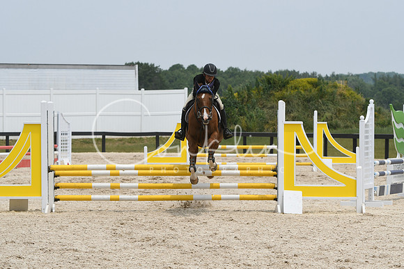 HSM_4981