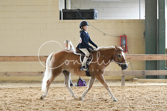HSM_8520