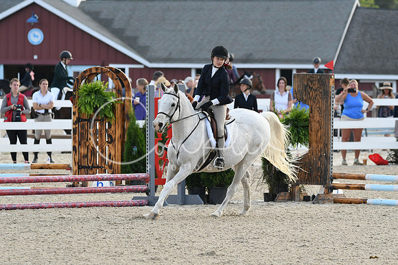 HSM_1029