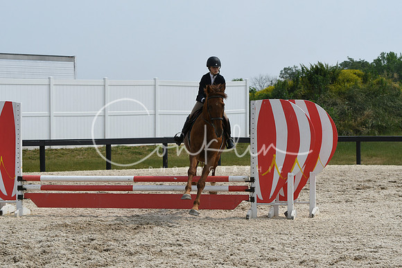 HSM_4633